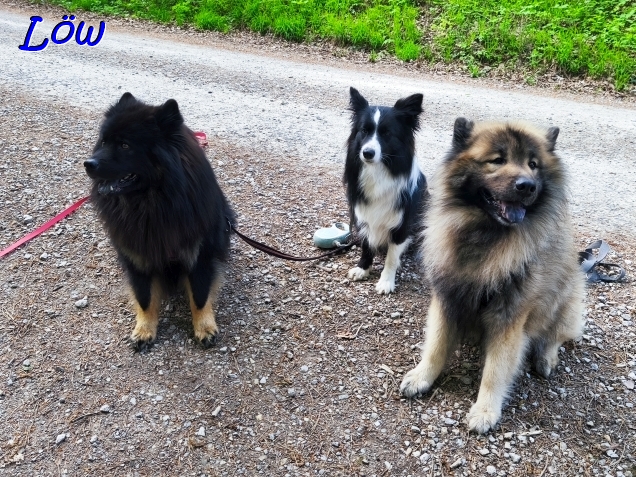 22.4.2025 - Howard, Iva  und Dwix